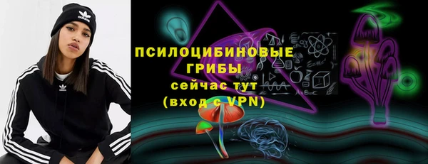 прущая мука Каменка