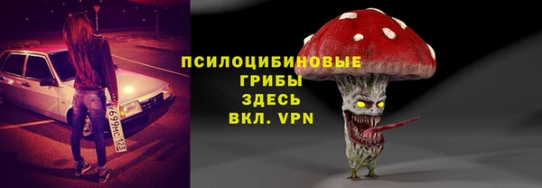 спиды Каменск-Шахтинский
