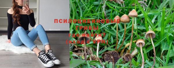 прущая мука Каменка