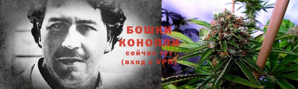 прущая мука Каменка