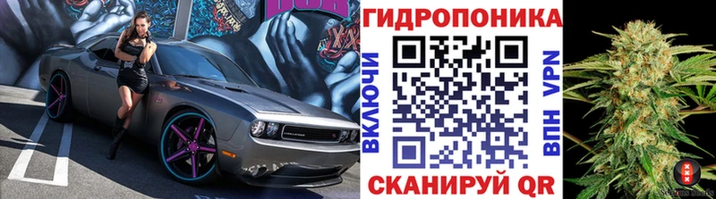 Каннабис гибрид Белорецк